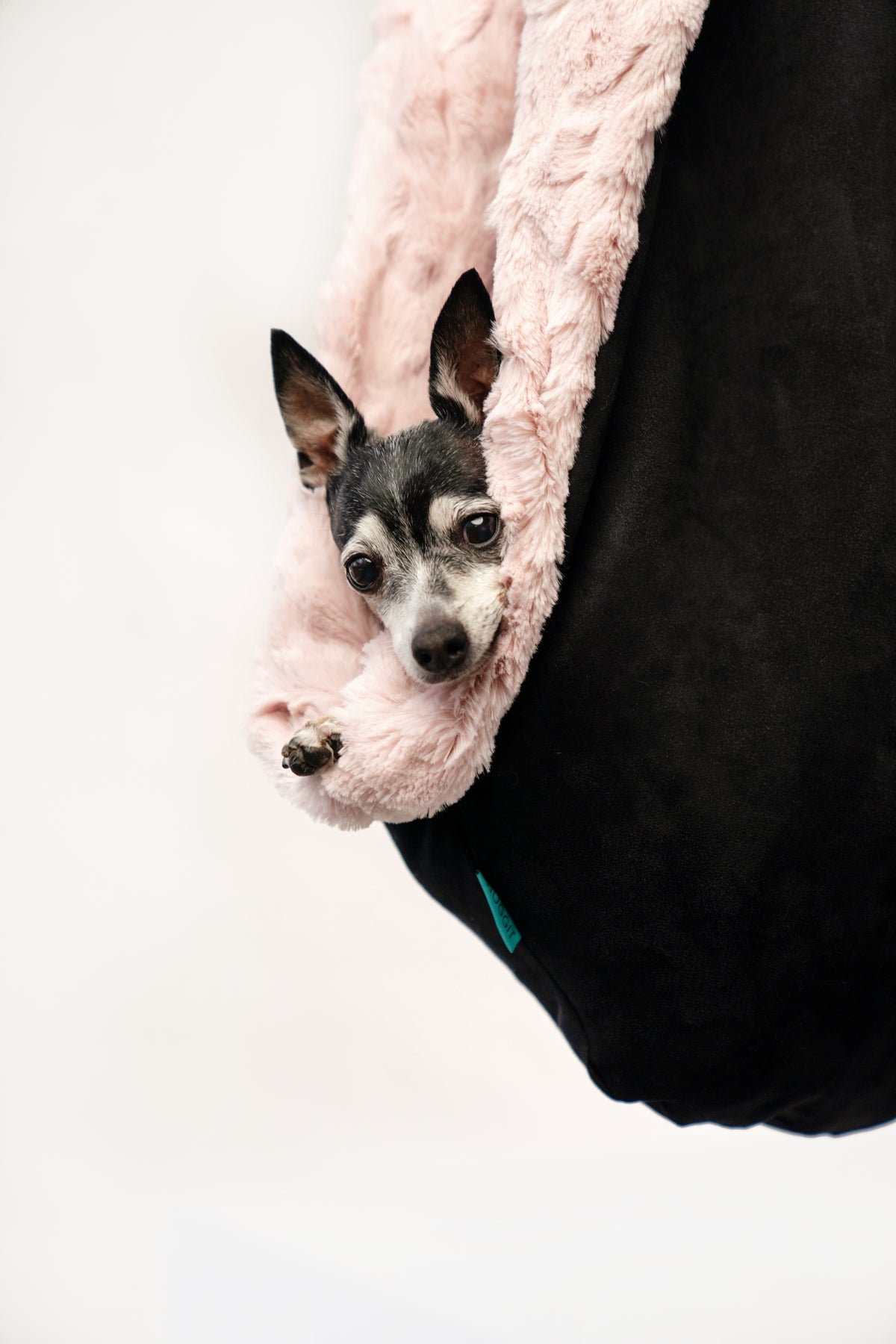 Pet sling, pet holder, pet carrier, pet bag, dog sling, dog holder, dog bag, dog carrier, small dog, dog accessories, dog with anxiety, soft dog bed, anxious dog, dog blanket, pet blanket, soft, waterproof, vegan, pet accessories