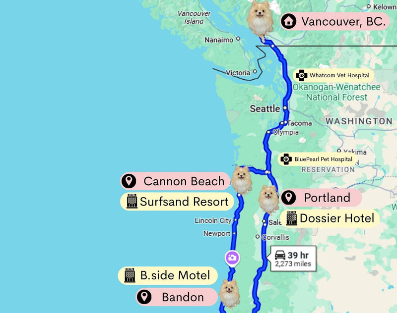 Pickles’ Pet-friendly Road Trip