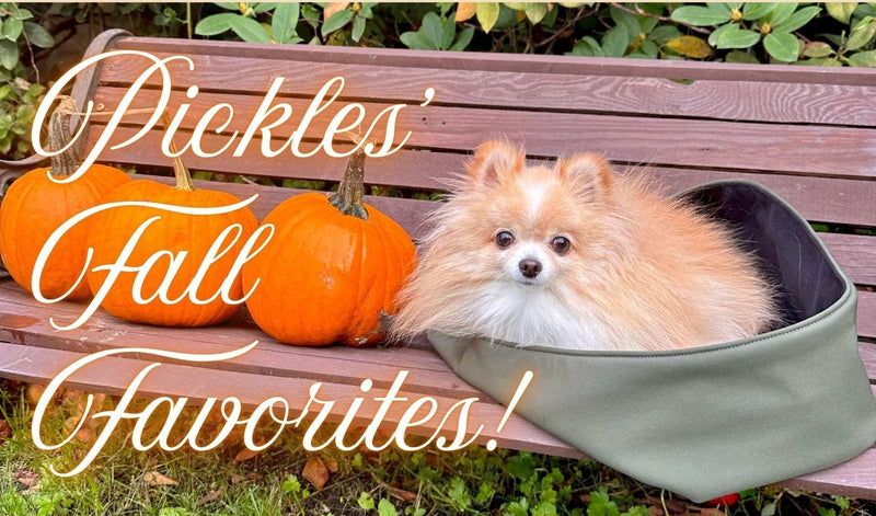 Pickles' Fall Favorites!