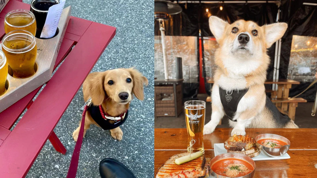 The Ultimate Brewery Visit Checklist The SNUGGIT Company