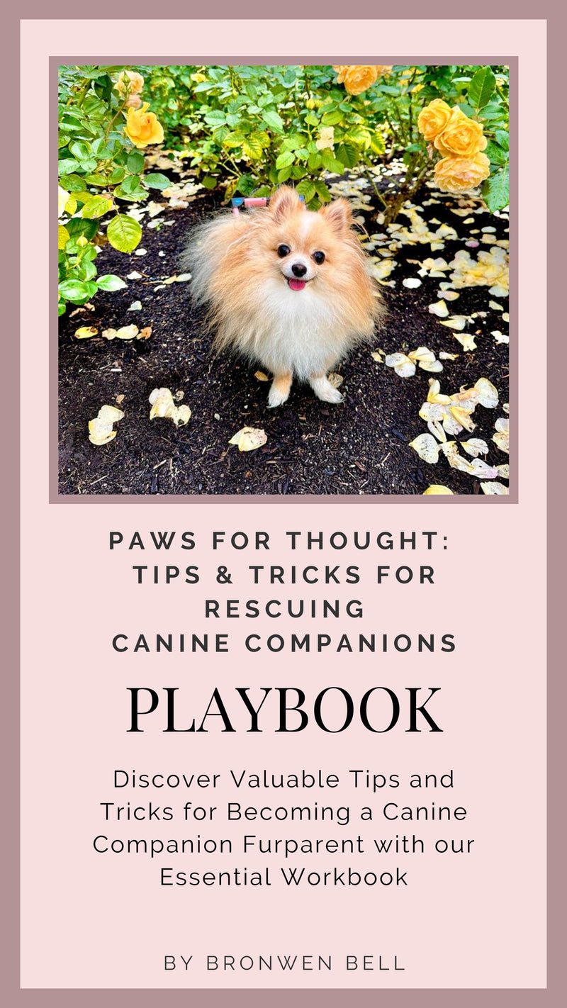 The Snuggit Playbook