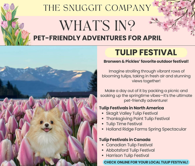 What’s in? Pet-friendly adventures for April