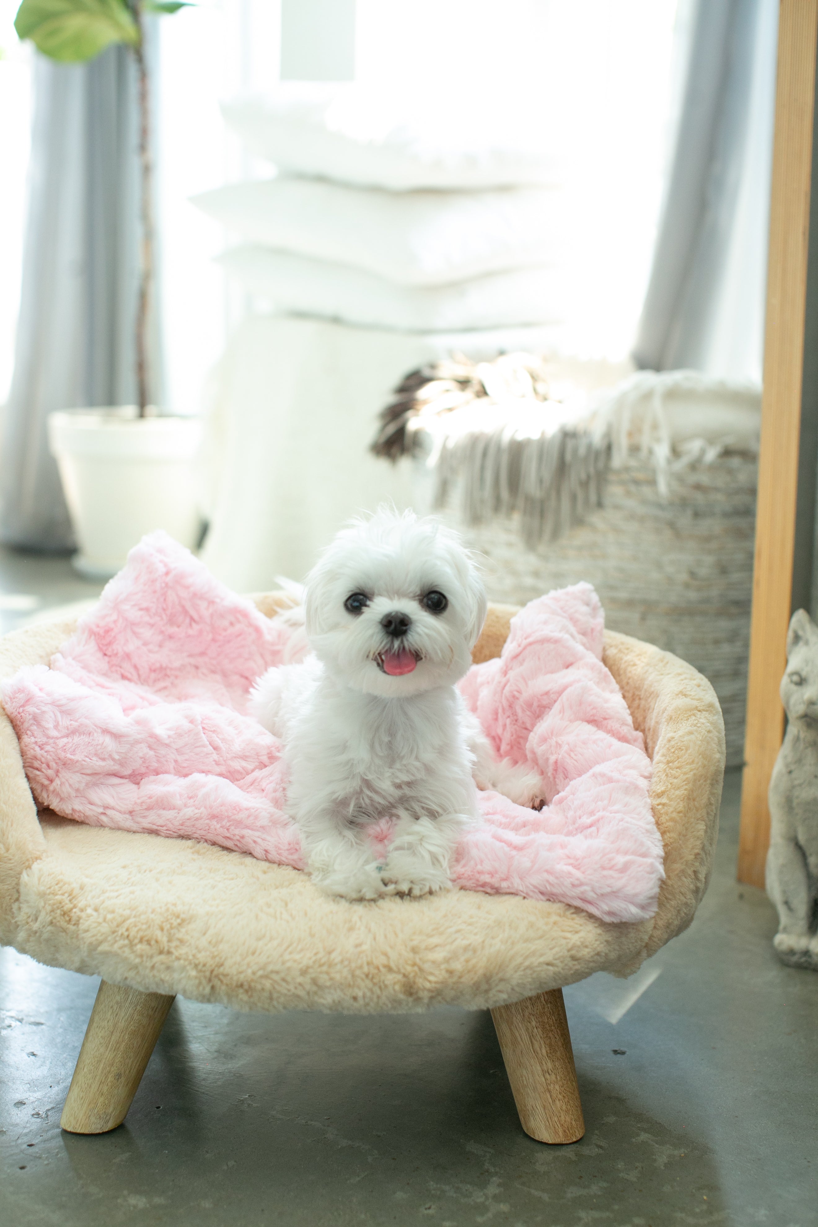 Heavenly sac dog outlet bed