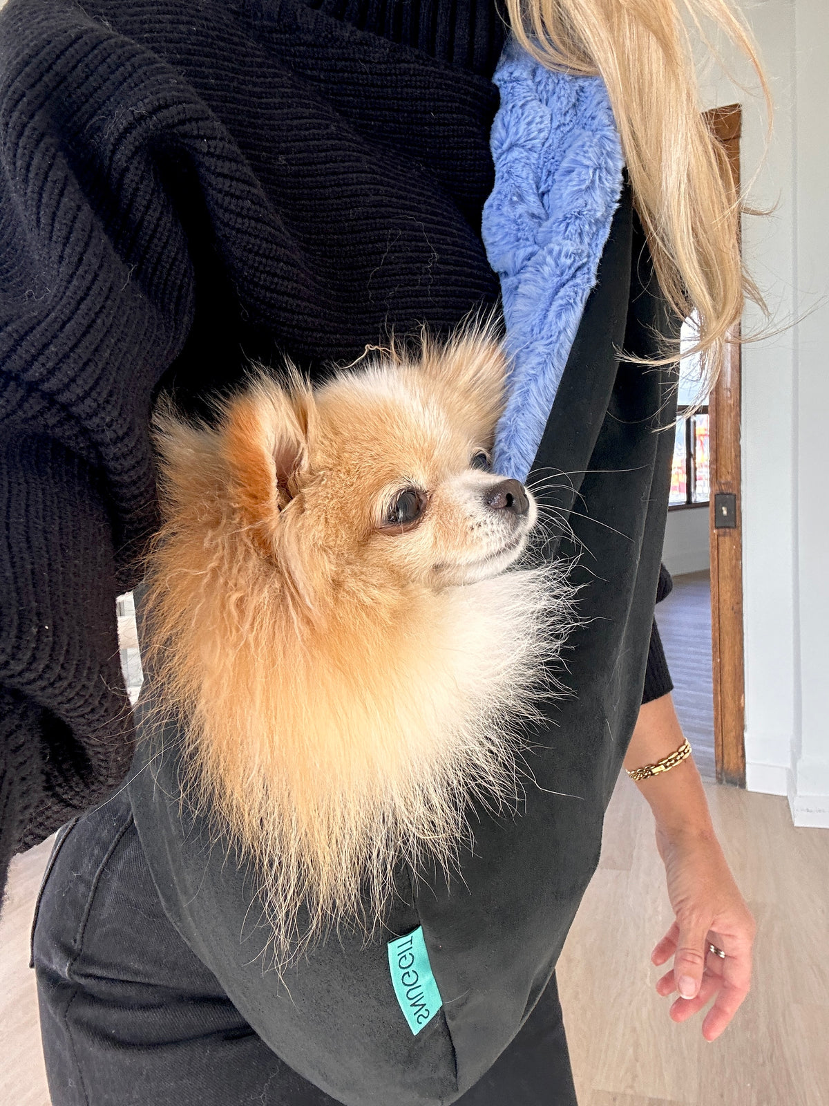 Pomeranian Puppy Sssniperwolf Elegant Woman Holding Cute Pomeranian