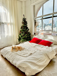 Snuggle Sac Collection