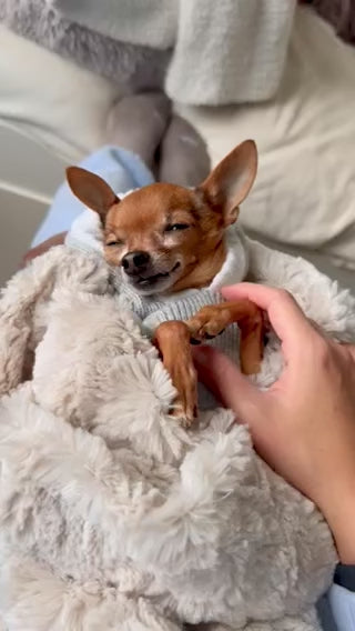 Snuggle Sac Collection