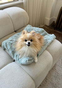 Snuggle Sac Collection